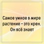 Погрузитесь в атмосферу итальянского уюта с классической лазаньей