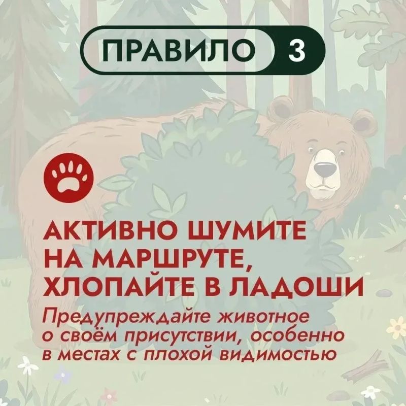 На Дальнем Востоке бурый медведь – хозяин территорий На Дальнем Востоке бурый медведь – хозяин территорий