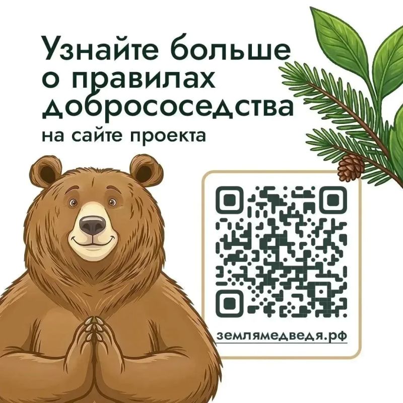 На Дальнем Востоке бурый медведь – хозяин территорий На Дальнем Востоке бурый медведь – хозяин территорий