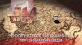 9 августа 1714 года произошла первая в российской истории морская победа русского флота под командованием Петра Первого над шведами у мыса Гангут