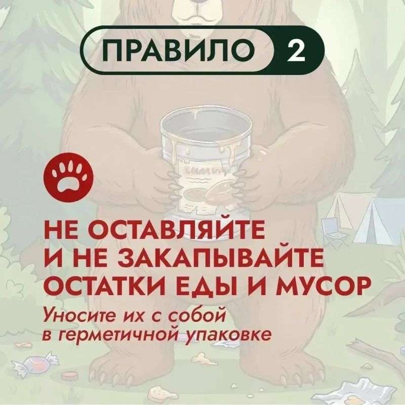 На Дальнем Востоке бурый медведь – хозяин территорий На Дальнем Востоке бурый медведь – хозяин территорий