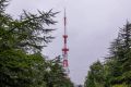 В Магадане +11, +13°C, ветер и дождь