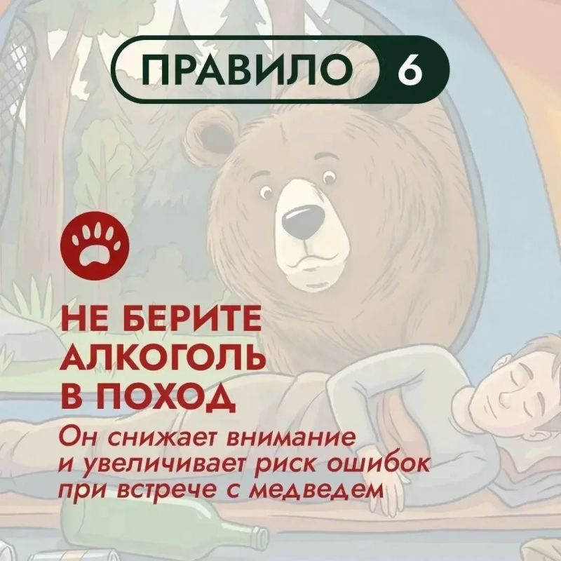 На Дальнем Востоке бурый медведь – хозяин территорий На Дальнем Востоке бурый медведь – хозяин территорий