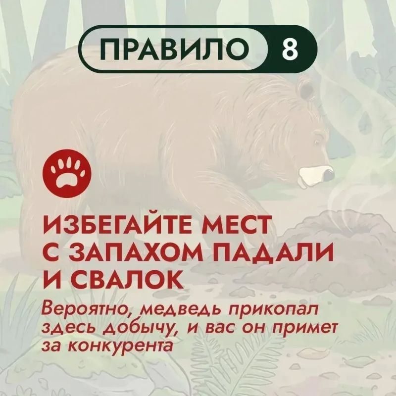 На Дальнем Востоке бурый медведь – хозяин территорий На Дальнем Востоке бурый медведь – хозяин территорий