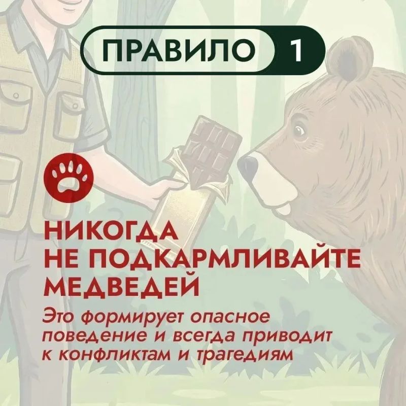 На Дальнем Востоке бурый медведь – хозяин территорий На Дальнем Востоке бурый медведь – хозяин территорий