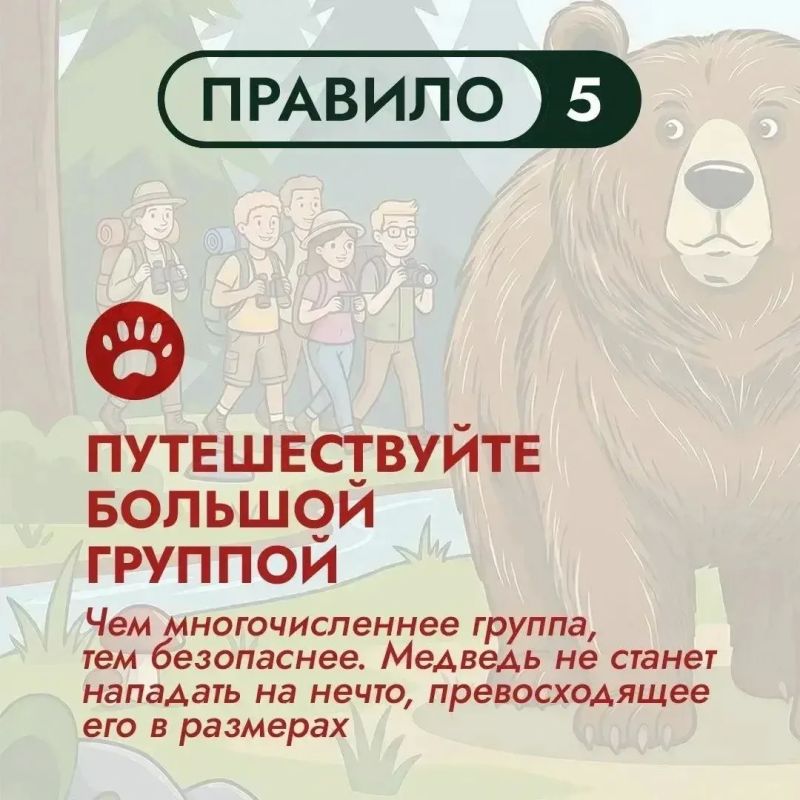 На Дальнем Востоке бурый медведь – хозяин территорий На Дальнем Востоке бурый медведь – хозяин территорий