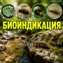 Ещё одно слово в копилочку знаний из нашей рубрики #слово_недели