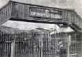 Одни из лучших препаратов для лечения цинги создавали 90 лет назад на Колыме