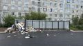 Лариса Поликанова: Контейнеры переехали, а привычка мусорить осталась