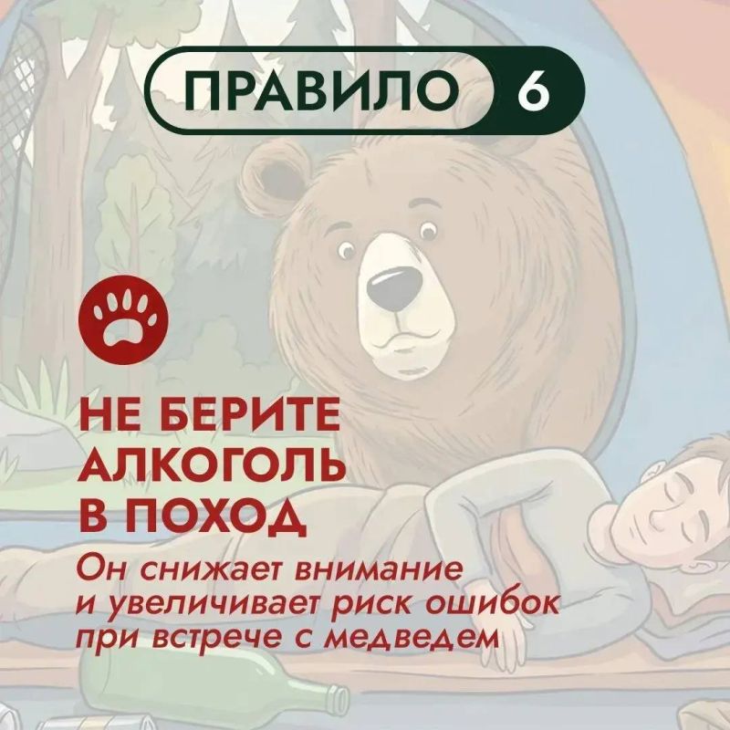 На Дальнем Востоке бурый медведь – хозяин территорий На Дальнем Востоке бурый медведь – хозяин территорий