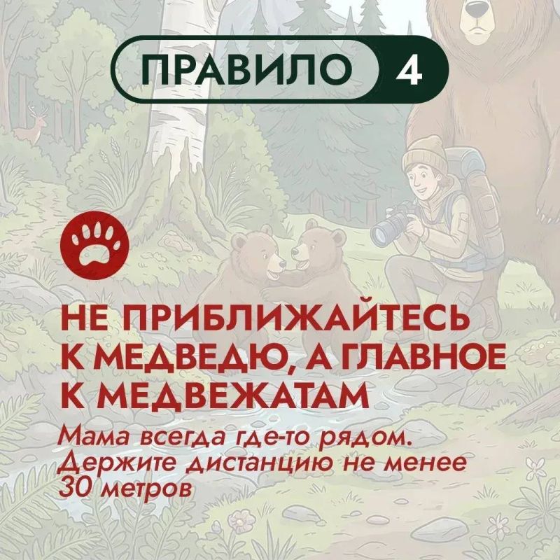 На Дальнем Востоке бурый медведь – хозяин территорий На Дальнем Востоке бурый медведь – хозяин территорий