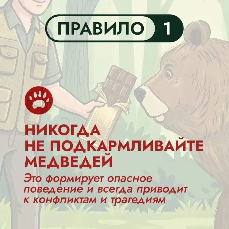 На Дальнем Востоке бурый медведь – хозяин территорий На Дальнем Востоке бурый медведь – хозяин территорий