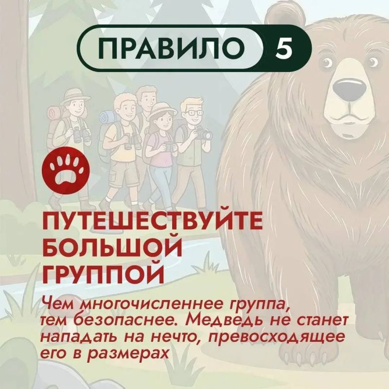 На Дальнем Востоке бурый медведь – хозяин территорий На Дальнем Востоке бурый медведь – хозяин территорий