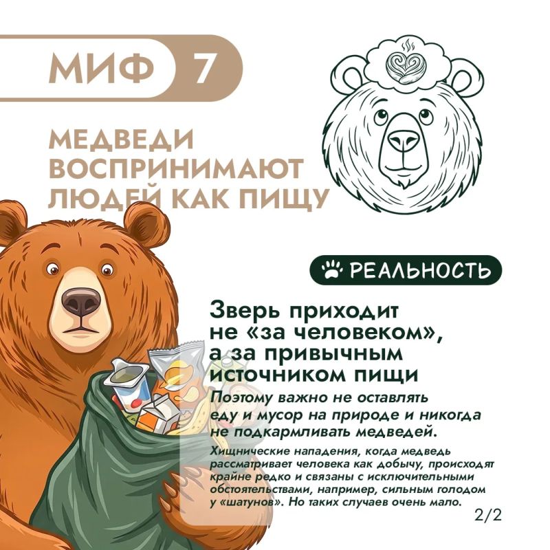 Правда и мифы о медведях – 3. Продолжаем разбираться! Правда и мифы о медведях – 3. Продолжаем разбираться!
