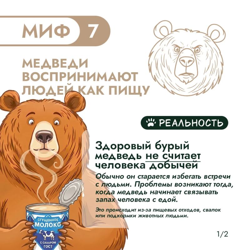 Правда и мифы о медведях – 3. Продолжаем разбираться! Правда и мифы о медведях – 3. Продолжаем разбираться!