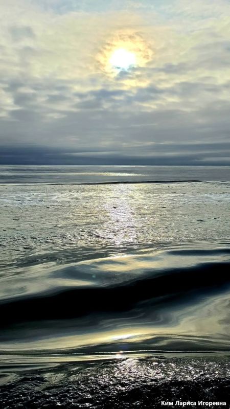 Подведены итоги конкурса фотографий «Тысяча настроений Охотского моря» Подведены итоги конкурса фотографий «Тысяча настроений Охотского моря»