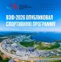 Во Владивостоке с 1 по 4 сентября пройдет спортивная программа Восточного экономического форума