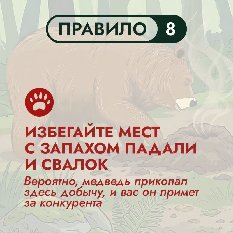 На Дальнем Востоке бурый медведь – хозяин территорий На Дальнем Востоке бурый медведь – хозяин территорий