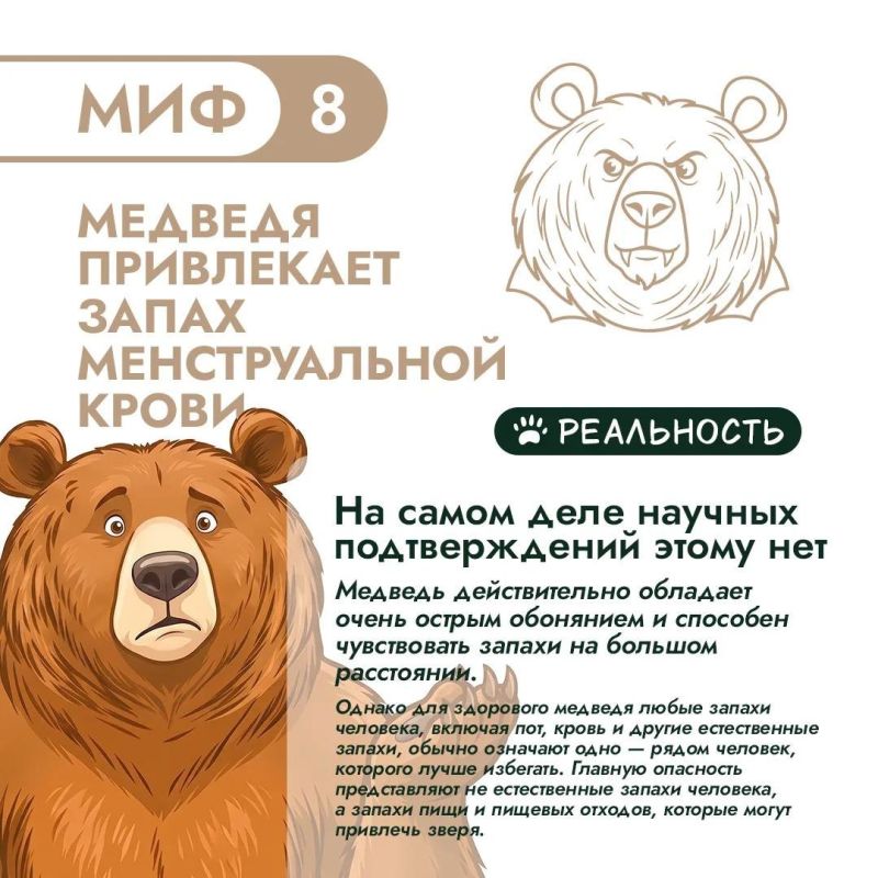 Правда и мифы о медведях – 3. Продолжаем разбираться! Правда и мифы о медведях – 3. Продолжаем разбираться!