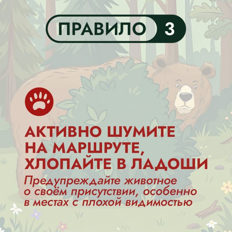 На Дальнем Востоке бурый медведь – хозяин территорий На Дальнем Востоке бурый медведь – хозяин территорий