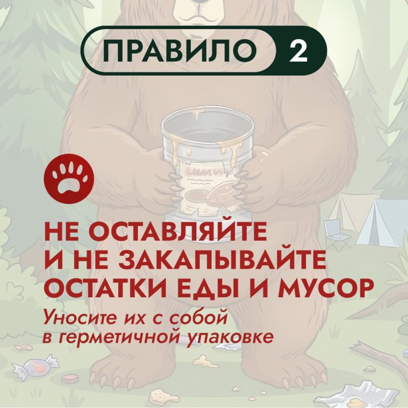 На Дальнем Востоке бурый медведь – хозяин территорий На Дальнем Востоке бурый медведь – хозяин территорий