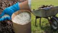 Органические и минералные удобрения: что выбрать для вашего урожая?