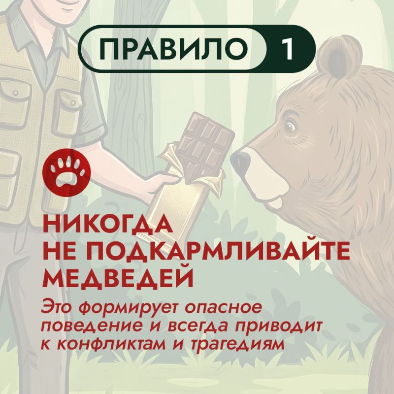 На Дальнем Востоке бурый медведь – хозяин территорий На Дальнем Востоке бурый медведь – хозяин территорий