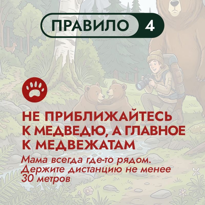 На Дальнем Востоке бурый медведь – хозяин территорий На Дальнем Востоке бурый медведь – хозяин территорий