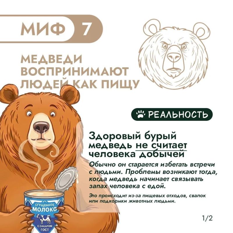 Правда и мифы о медведях – 3. Продолжаем разбираться! Правда и мифы о медведях – 3. Продолжаем разбираться!