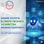 Перечень электронных государственных услуг Министерства природных ресурсов и экологии Магаданской области в сфере лесного хозяйства, которые можно получить на портале Госуслуги