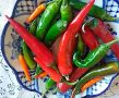 Острый красный перец: от сада к кухне