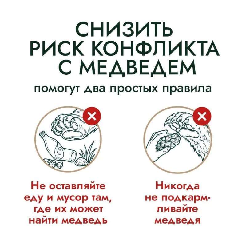 Собираетесь на рыбалку или в поход? Чтобы ваше приключение не превратилось в опасную историю, изучите советы, как предостеречь себя от встречи с медведем. Собираетесь на рыбалку или в поход? Чтобы ваше приключение не превратилось в опасную историю, изучите советы, как предостеречь себя от встречи с медведем.
