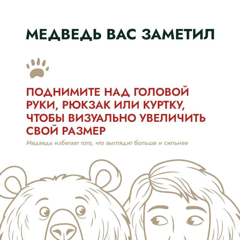 Собираетесь на рыбалку или в поход? Чтобы ваше приключение не превратилось в опасную историю, изучите советы, как предостеречь себя от встречи с медведем. Собираетесь на рыбалку или в поход? Чтобы ваше приключение не превратилось в опасную историю, изучите советы, как предостеречь себя от встречи с медведем.