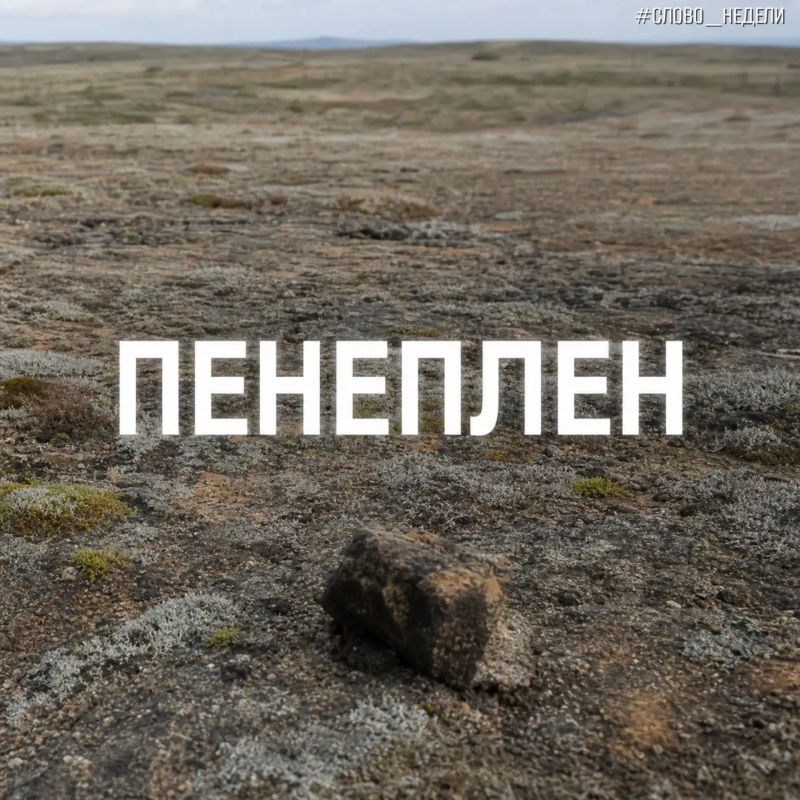 Продолжаем нашу рубрику #слово_недели