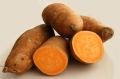 Батат: уникальный сладкий картофель с удивительными свойствами и вкусом