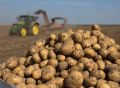 Эксперты-мелиораторы оценили потенциал сельхозугодий Колымы и предложили технологии для защиты от паводков