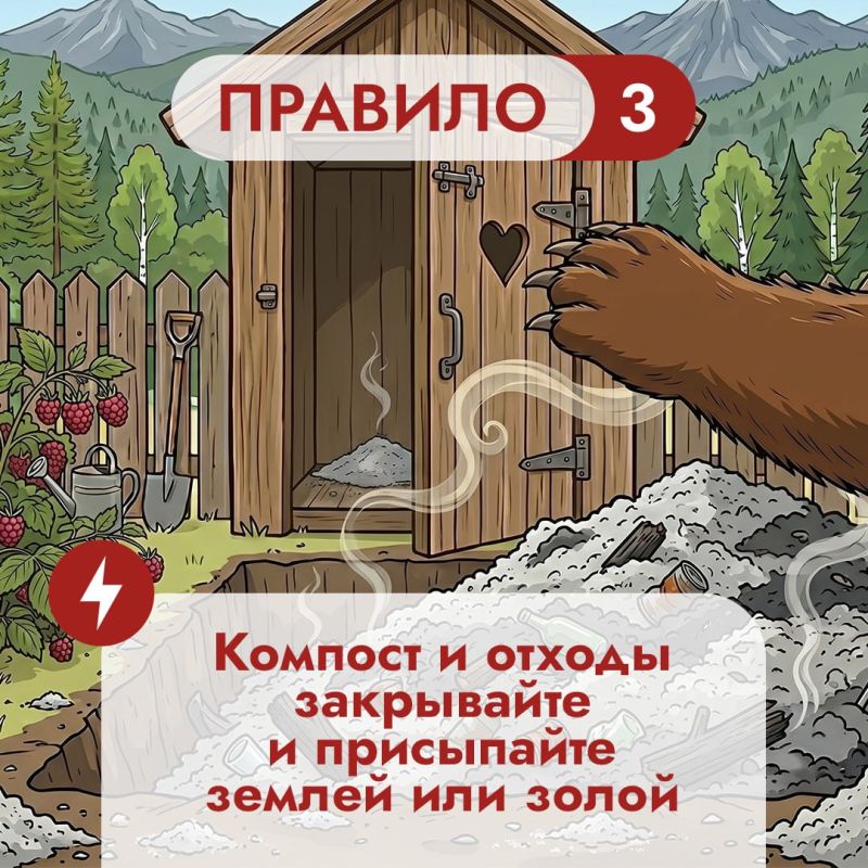 На Дальнем Востоке встречи с бурым медведем — реальность для тысячи людей На Дальнем Востоке встречи с бурым медведем — реальность для тысячи людей