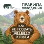На Дальнем Востоке встречи с бурым медведем — реальность для тысячи людей