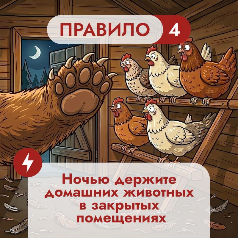 На Дальнем Востоке встречи с бурым медведем — реальность для тысячи людей На Дальнем Востоке встречи с бурым медведем — реальность для тысячи людей