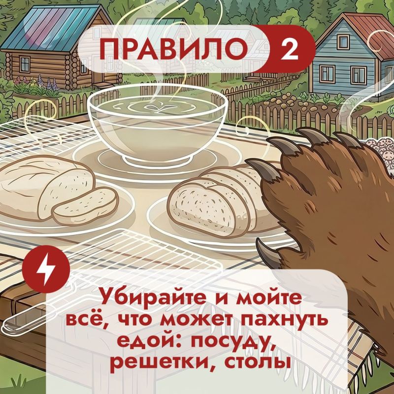 На Дальнем Востоке встречи с бурым медведем — реальность для тысячи людей На Дальнем Востоке встречи с бурым медведем — реальность для тысячи людей