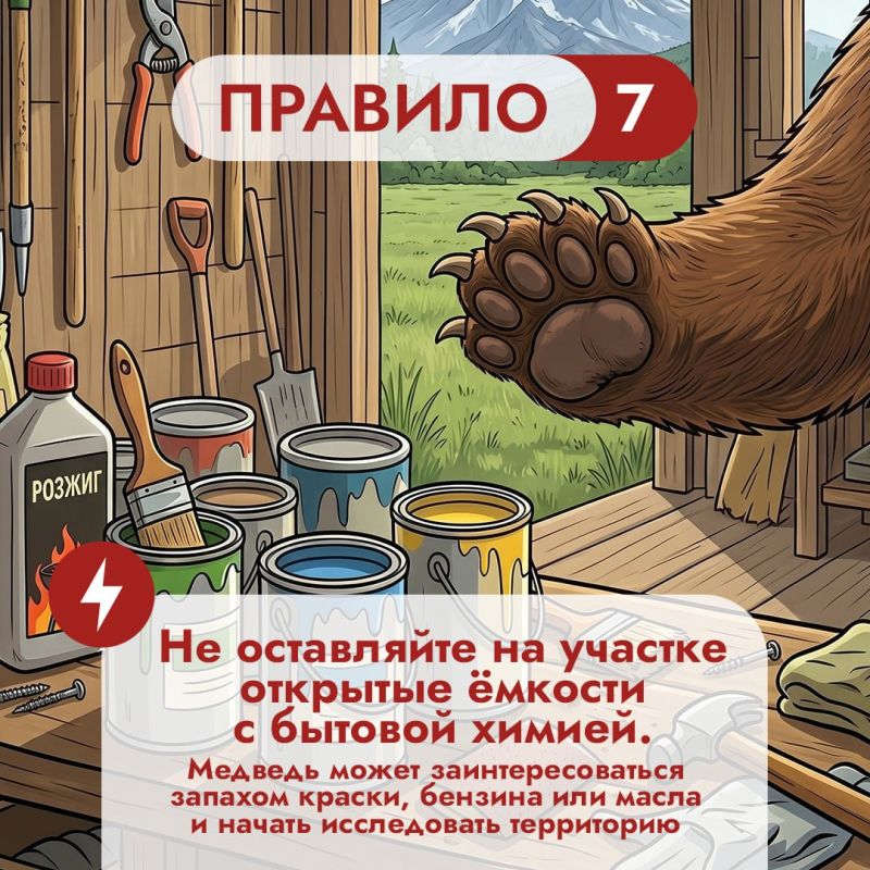 На Дальнем Востоке встречи с бурым медведем — реальность для тысячи людей На Дальнем Востоке встречи с бурым медведем — реальность для тысячи людей