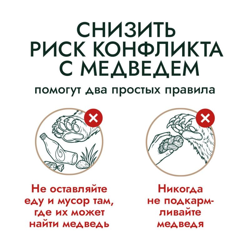 На Дальнем Востоке встречи с бурым медведем — реальность для тысячи людей На Дальнем Востоке встречи с бурым медведем — реальность для тысячи людей