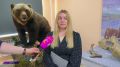 Сеймчанский краеведческий музей получил новый вектор развития после масштабной модернизации