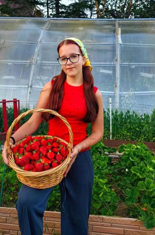 Магаданка вырастила клубнику весом до 80 граммов и поделилась агротехникой для условий Севера Магаданка вырастила клубнику весом до 80 граммов и поделилась агротехникой для условий Севера