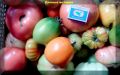 Спасение урожая: как обработать помидоры, пораженные фитофторой