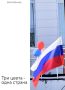 Магаданская область присоединилась к Всероссийской акции «Цвета Родины»