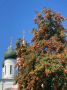 Рябиновое варенье: уникальный деликатес для вашего стола