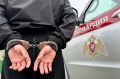 Правонарушитель наказан двумя сутками ареста за неповиновение законным требованиям росгвардейцев