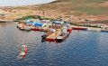 FESCO заинтересовалась созданием морского логистического центра на Колыме