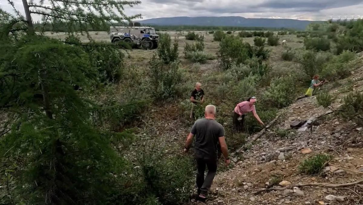 Загадочное место с уникальными растениями изучают в Магаданской области